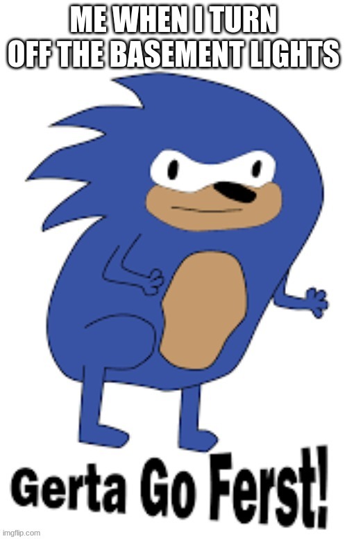 BAsement lights | image tagged in sonic the hedgehog | made w/ Imgflip meme maker