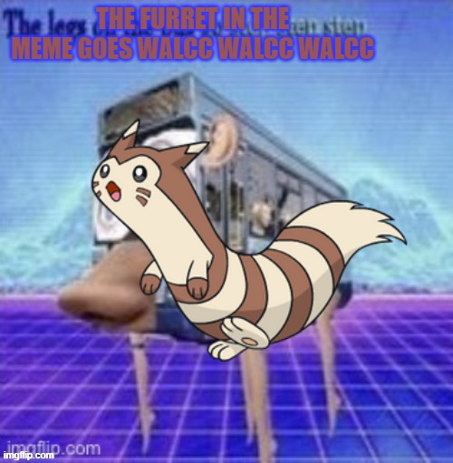 THE FURRET IN THE MEME GOES WALCC WALCC WALCC | made w/ Imgflip meme maker