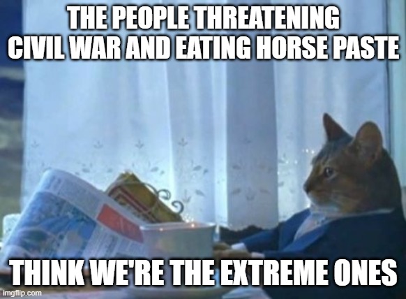 I Should Buy A Boat Cat | THE PEOPLE THREATENING CIVIL WAR AND EATING HORSE PASTE; THINK WE'RE THE EXTREME ONES | image tagged in memes,i should buy a boat cat | made w/ Imgflip meme maker