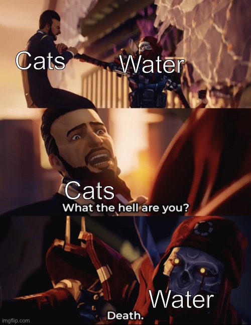 what are you? death | Cats; Water; Cats; Water | image tagged in what are you death | made w/ Imgflip meme maker
