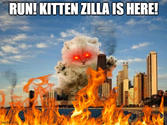 RUN! KITTEN ZILLA IS HERE! | image tagged in kittens,godzilla,kittenzilla,scream,memes,cat | made w/ Imgflip meme maker