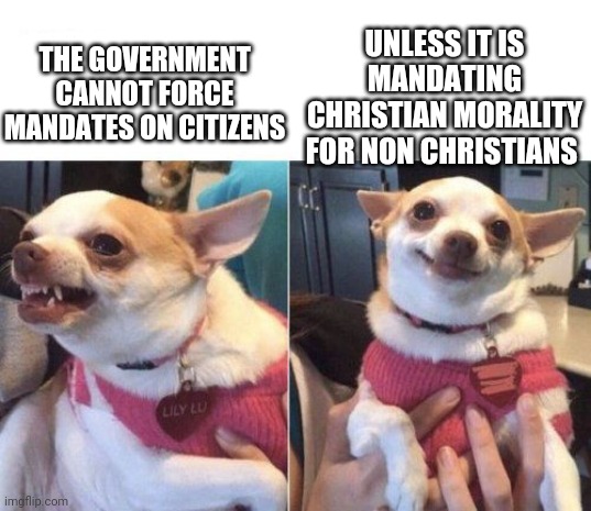 angry chihuahua happy chihuahua | UNLESS IT IS MANDATING CHRISTIAN MORALITY FOR NON CHRISTIANS; THE GOVERNMENT CANNOT FORCE MANDATES ON CITIZENS | image tagged in angry chihuahua happy chihuahua | made w/ Imgflip meme maker