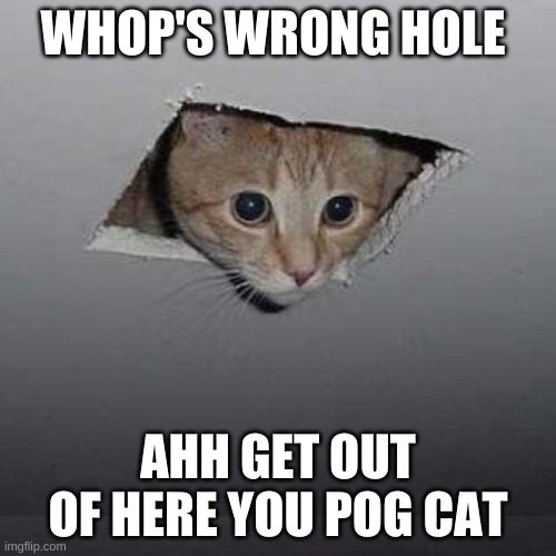 Ceiling Cat Meme | WHOP'S WRONG HOLE; AHH GET OUT OF HERE YOU POG CAT | image tagged in memes,ceiling cat | made w/ Imgflip meme maker