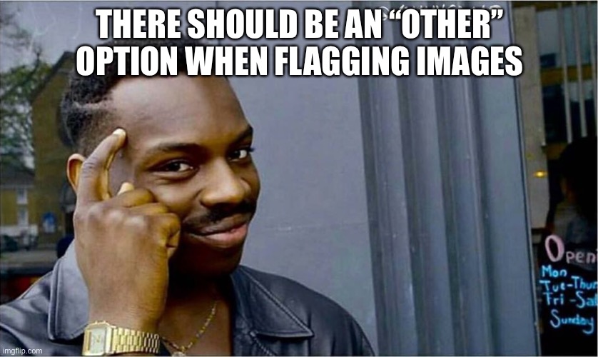 Good idea bad idea | THERE SHOULD BE AN “OTHER” OPTION WHEN FLAGGING IMAGES | image tagged in good idea bad idea | made w/ Imgflip meme maker