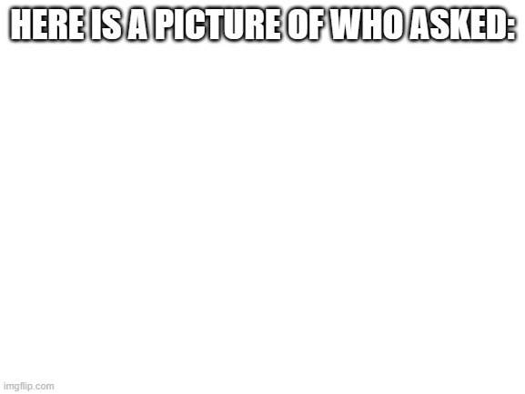 Blank White Template | HERE IS A PICTURE OF WHO ASKED: | image tagged in blank white template | made w/ Imgflip meme maker