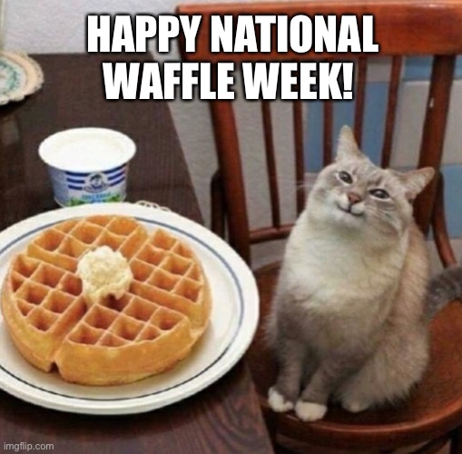 ??? | HAPPY NATIONAL WAFFLE WEEK! | image tagged in cat likes their waffle | made w/ Imgflip meme maker
