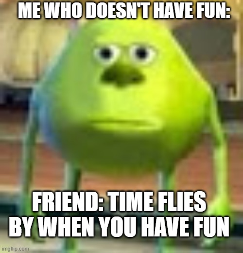 Sully Wazowski | ME WHO DOESN'T HAVE FUN:; FRIEND: TIME FLIES BY WHEN YOU HAVE FUN | image tagged in sully wazowski | made w/ Imgflip meme maker