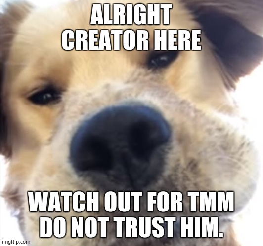 Doggo bruh | ALRIGHT
CREATOR HERE; WATCH OUT FOR TMM
DO NOT TRUST HIM. | image tagged in doggo bruh | made w/ Imgflip meme maker