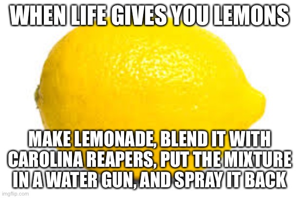 LOL | WHEN LIFE GIVES YOU LEMONS; MAKE LEMONADE, BLEND IT WITH CAROLINA REAPERS, PUT THE MIXTURE IN A WATER GUN, AND SPRAY IT BACK | image tagged in when life gives you lemons x | made w/ Imgflip meme maker