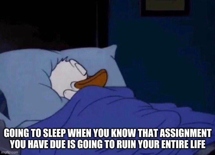 just need s l e e p | GOING TO SLEEP WHEN YOU KNOW THAT ASSIGNMENT YOU HAVE DUE IS GOING TO RUIN YOUR ENTIRE LIFE | image tagged in sleeping donald duck | made w/ Imgflip meme maker