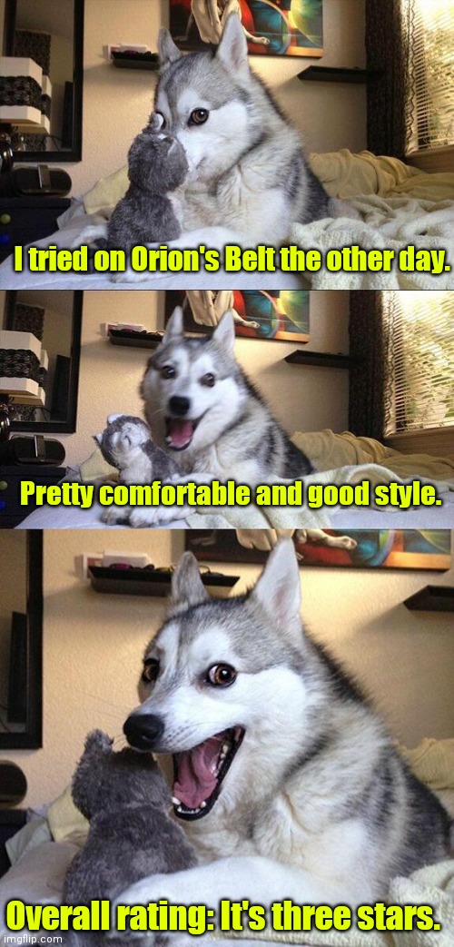 Another sick Dad joke. | I tried on Orion's Belt the other day. Pretty comfortable and good style. Overall rating: It's three stars. | image tagged in memes,bad pun dog,funny | made w/ Imgflip meme maker