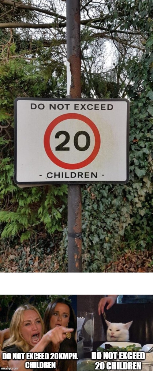  DO NOT EXCEED 20 CHILDREN; DO NOT EXCEED 20KMPH.
CHILDREN | image tagged in memes,woman yelling at cat | made w/ Imgflip meme maker