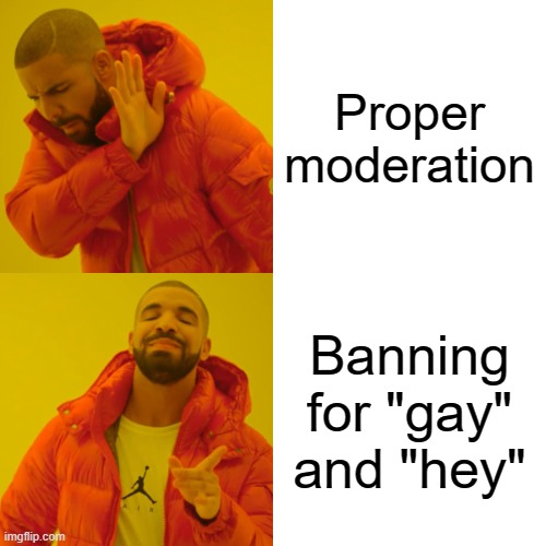 Drake Hotline Bling Meme | Proper moderation; Banning for "gay" and "hey" | image tagged in memes,drake hotline bling | made w/ Imgflip meme maker