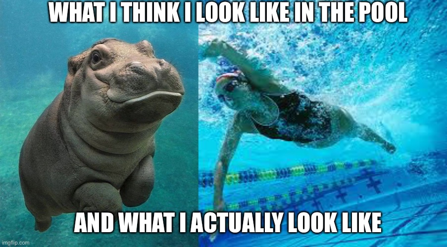 WHAT I THINK I LOOK LIKE IN THE POOL; AND WHAT I ACTUALLY LOOK LIKE | image tagged in swimming pool,swimming,fatty,hippo | made w/ Imgflip meme maker