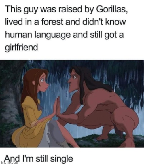 image tagged in funny memes | made w/ Imgflip meme maker