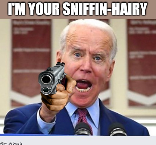 Joe Biden no malarkey | I'M YOUR SNIFFIN-HAIRY | image tagged in joe biden no malarkey | made w/ Imgflip meme maker