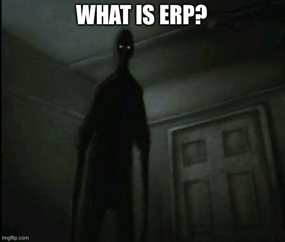 اس سانچے کو استعمال نہ کریں۔ | WHAT IS ERP? | made w/ Imgflip meme maker
