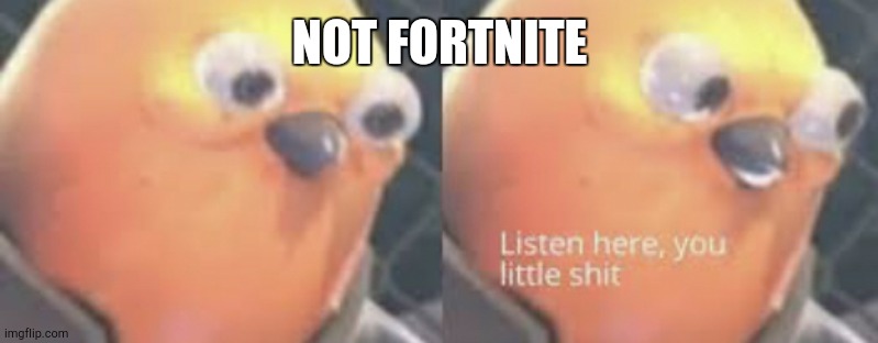 Listen here you little shit bird | NOT FORTNITE | image tagged in listen here you little shit bird | made w/ Imgflip meme maker