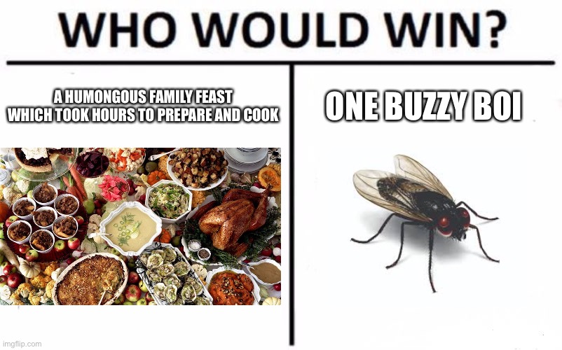 Who Would Win? Meme | A HUMONGOUS FAMILY FEAST WHICH TOOK HOURS TO PREPARE AND COOK; ONE BUZZY BOI | image tagged in memes,who would win,dinner,fly | made w/ Imgflip meme maker