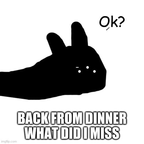 Ok? | BACK FROM DINNER
WHAT DID I MISS | image tagged in ok | made w/ Imgflip meme maker