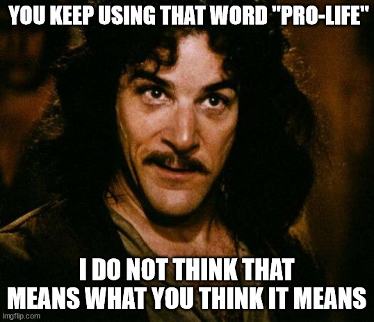 Inigo Montoya | YOU KEEP USING THAT WORD "PRO-LIFE"; I DO NOT THINK THAT MEANS WHAT YOU THINK IT MEANS | image tagged in memes,inigo montoya,AdviceAnimals | made w/ Imgflip meme maker