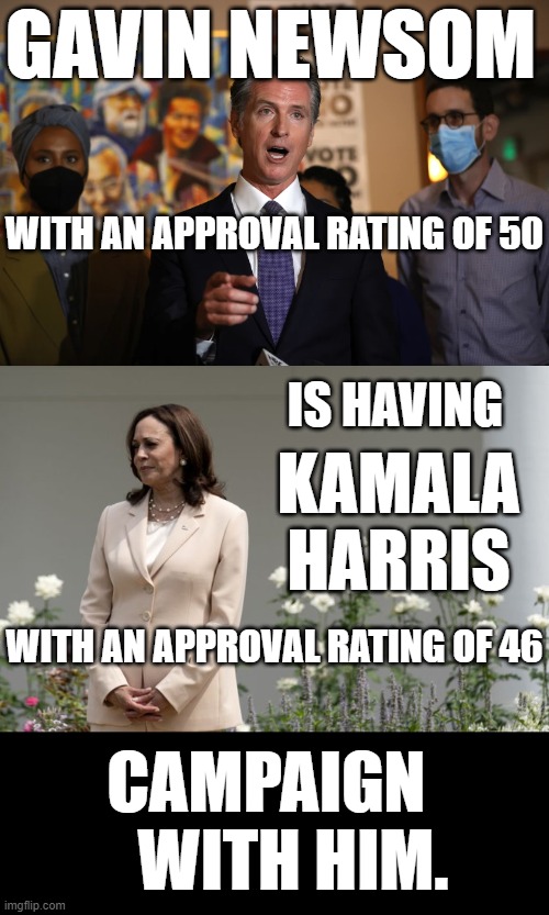 What Kind Of  Recall Strategy Is This? | GAVIN NEWSOM; WITH AN APPROVAL RATING OF 50; IS HAVING; KAMALA HARRIS; WITH AN APPROVAL RATING OF 46; CAMPAIGN     WITH HIM. | image tagged in memes,politics,recall,strategy,approval,ratings | made w/ Imgflip meme maker