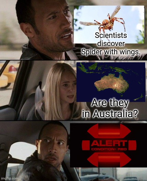 Flying Spider | Scientists discover Spider with wings. Are they in Australia? | image tagged in memes,the rock driving | made w/ Imgflip meme maker