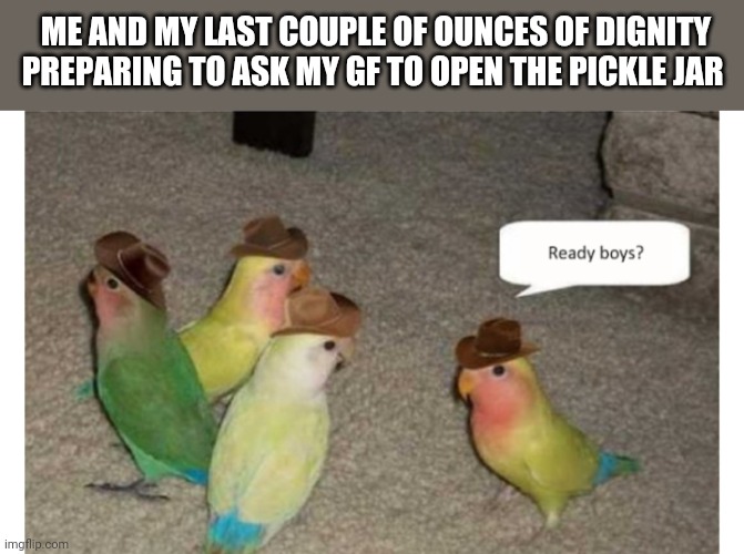 ME AND MY LAST COUPLE OF OUNCES OF DIGNITY PREPARING TO ASK MY GF TO OPEN THE PICKLE JAR | image tagged in funny memes | made w/ Imgflip meme maker