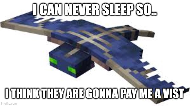 Minecraft Phantom | I CAN NEVER SLEEP SO.. I THINK THEY ARE GONNA PAY ME A VISIT | image tagged in minecraft phantom | made w/ Imgflip meme maker