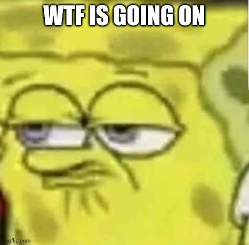 spongebob | WTF IS GOING ON | image tagged in spongebob | made w/ Imgflip meme maker