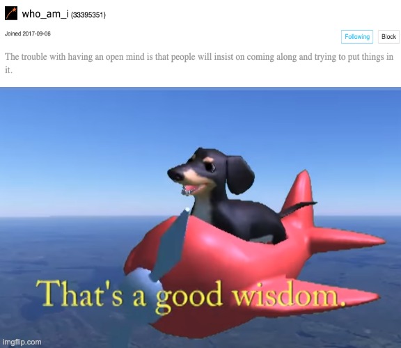 That's a good wisdom. | image tagged in that's a good wisdom | made w/ Imgflip meme maker