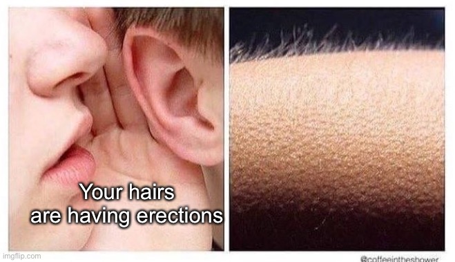 sloop | Your hairs are having erections | image tagged in chills,funny,memes,erection | made w/ Imgflip meme maker