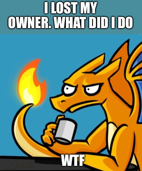 I LOST MY OWNER. WHAT DID I DO | image tagged in charizard wtf | made w/ Imgflip meme maker