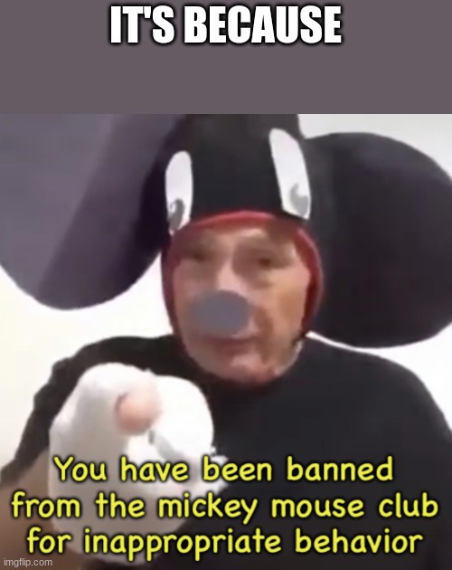 Banned From The Mickey Mouse Club | IT'S BECAUSE | image tagged in banned from the mickey mouse club | made w/ Imgflip meme maker