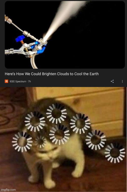 image tagged in super confused cat | made w/ Imgflip meme maker