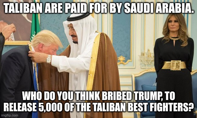 Trumps a punk | TALIBAN ARE PAID FOR BY SAUDI ARABIA. WHO DO YOU THINK BRIBED TRUMP, TO RELEASE 5,000 OF THE TALIBAN BEST FIGHTERS? | image tagged in trump,saudis,taliban,bribed,terrorists,fools vote gop | made w/ Imgflip meme maker