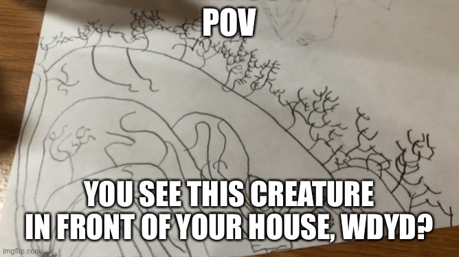 POV; YOU SEE THIS CREATURE IN FRONT OF YOUR HOUSE, WDYD? | made w/ Imgflip meme maker