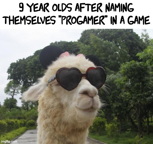 cool llama | 9 year olds after naming themselves ''progamer'' in a game | image tagged in cool llama,memes,not cool | made w/ Imgflip meme maker