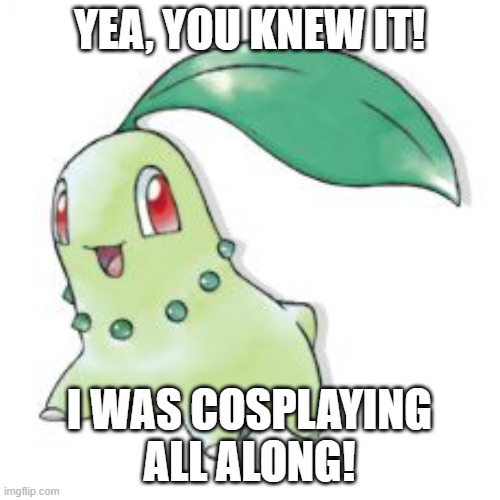 what'cha lookin at | YEA, YOU KNEW IT! I WAS COSPLAYING ALL ALONG! | image tagged in chikorita | made w/ Imgflip meme maker