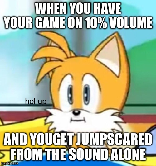 Jumpscared at 10% volume? What?! | WHEN YOU HAVE YOUR GAME ON 10% VOLUME; hol up; AND YOUGET JUMPSCARED FROM THE SOUND ALONE | image tagged in tails hold up,hol up | made w/ Imgflip meme maker