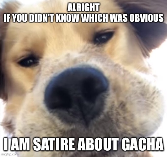 Doggo bruh | ALRIGHT
IF YOU DIDN’T KNOW WHICH WAS OBVIOUS; I AM SATIRE ABOUT GACHA | image tagged in doggo bruh | made w/ Imgflip meme maker