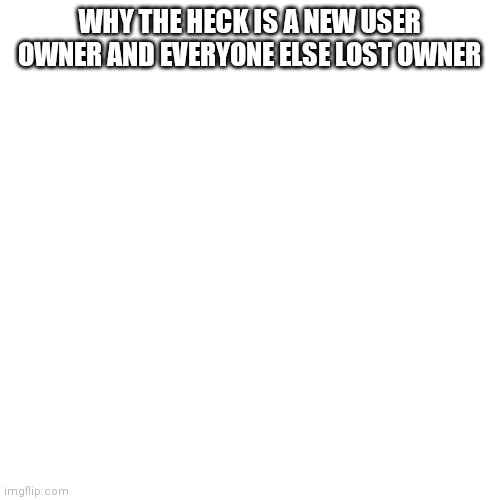 Why | WHY THE HECK IS A NEW USER OWNER AND EVERYONE ELSE LOST OWNER | image tagged in memes,blank transparent square | made w/ Imgflip meme maker