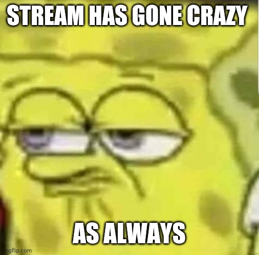 spongebob | STREAM HAS GONE CRAZY; AS ALWAYS | image tagged in spongebob | made w/ Imgflip meme maker