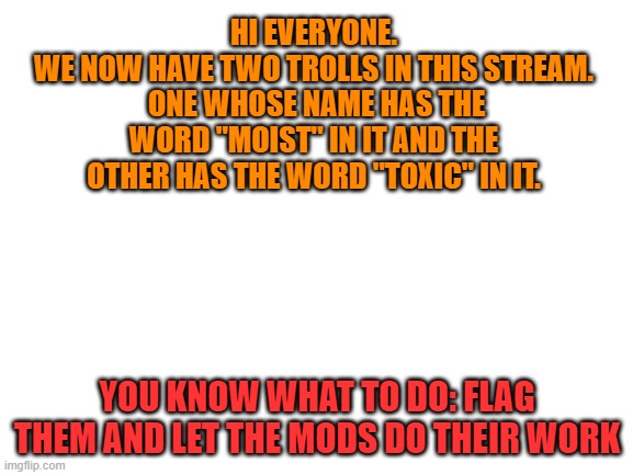 Blank White Template | HI EVERYONE.
WE NOW HAVE TWO TROLLS IN THIS STREAM.  ONE WHOSE NAME HAS THE WORD "MOIST" IN IT AND THE OTHER HAS THE WORD "TOXIC" IN IT. YOU KNOW WHAT TO DO: FLAG THEM AND LET THE MODS DO THEIR WORK | image tagged in blank white template | made w/ Imgflip meme maker