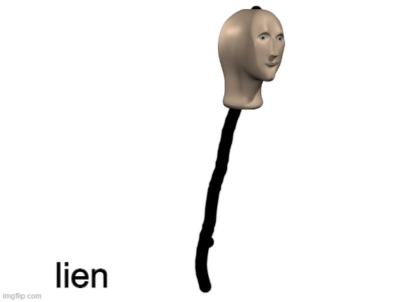 LIEN | lien | image tagged in blank white template | made w/ Imgflip meme maker
