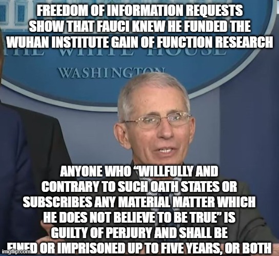 Dr Fauci | FREEDOM OF INFORMATION REQUESTS SHOW THAT FAUCI KNEW HE FUNDED THE WUHAN INSTITUTE GAIN OF FUNCTION RESEARCH; ANYONE WHO “WILLFULLY AND CONTRARY TO SUCH OATH STATES OR SUBSCRIBES ANY MATERIAL MATTER WHICH HE DOES NOT BELIEVE TO BE TRUE” IS GUILTY OF PERJURY AND SHALL BE FINED OR IMPRISONED UP TO FIVE YEARS, OR BOTH | image tagged in dr fauci | made w/ Imgflip meme maker