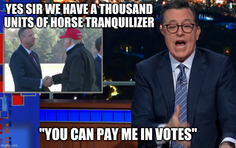 explains everything | YES SIR WE HAVE A THOUSAND UNITS OF HORSE TRANQUILIZER; "YOU CAN PAY ME IN VOTES" | image tagged in shaking hands with an idiot | made w/ Imgflip meme maker