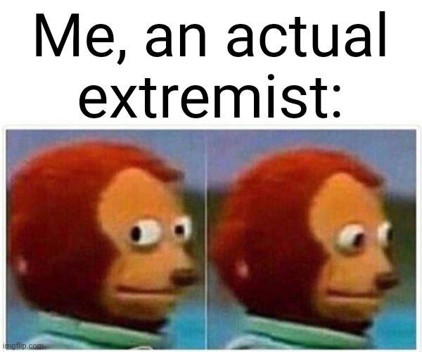 Monkey Puppet Meme | Me, an actual extremist: | image tagged in memes,monkey puppet | made w/ Imgflip meme maker