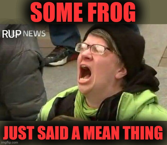 RUP NEWS CHANNEL REPORTING ON PEPE PARTY | SOME FROG JUST SAID A MEAN THING RUP | image tagged in not my president,rup,snowflakes,rup snowflakes | made w/ Imgflip meme maker