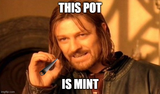 One Does Not Simply | THIS POT; IS MINT | image tagged in memes,one does not simply | made w/ Imgflip meme maker